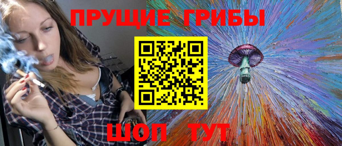 Галлюциногенные грибы Psilocybe Сургут