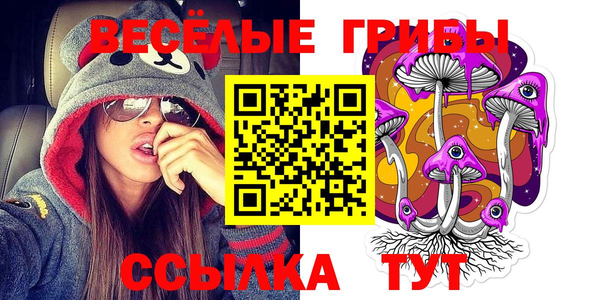 Сургут  Псилоцибиновые грибы MAGIC MUSHROOMS  Вход с VPN 